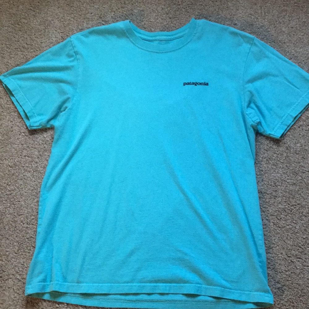 Patagonia T-shirt